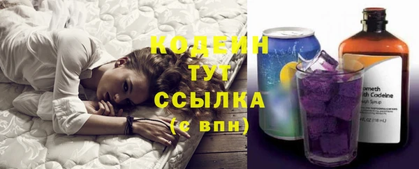 гашик Козловка