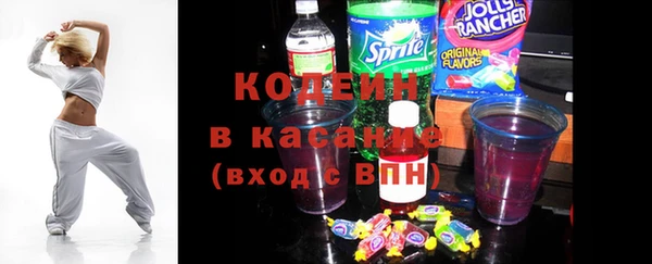 гашик Козловка