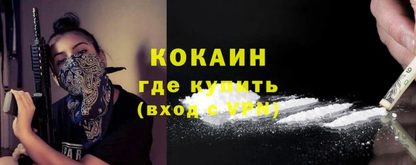 прущие грибы Кодинск