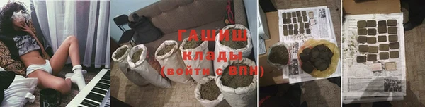 прущие грибы Кодинск