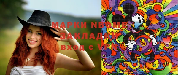 гашик Козловка