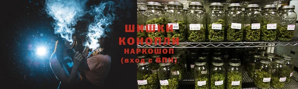 прущие грибы Кодинск